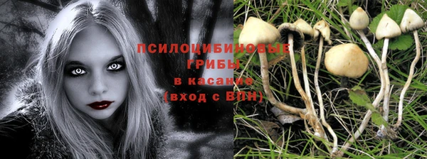 mdpv Алзамай