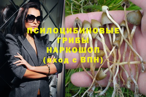MDMA Алексеевка
